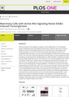 Mammary Cells with Active Wnt Signaling Resist ErbB2-Induced Tumorigenesis