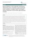 Recent Advances in the Molecular Mechanisms Determining Tissue Sensitivity to Glucocorticoids: Novel Mutations, Circadian Rhythm, and Ligand-Induced Repression of the Human Glucocorticoid Receptor