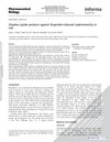 Zizyphus Jujuba Protects Against Ibuprofen-Induced Nephrotoxicity in Rats