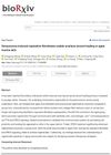 Senescence-Induced Reparative Fibroblasts Enable Scarless Wound Healing in Aged Murine Skin