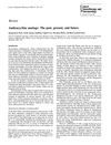 Anthracycline Analogs: The Past, Present, And Future
