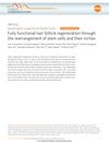 Fully Functional Hair Follicle Regeneration Through the Rearrangement of Stem Cells and Their Niches