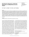 Development, Structure, and Keratin Expression in C57BL/6J Mouse Eccrine Glands