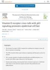 Vitamin D Receptor Cross-Talk With P63 Signaling Promotes Epidermal Cell Fate