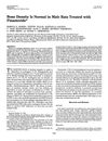 Bone Density Is Normal in Male Rats Treated with Finasteride