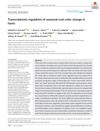 Transcriptomic Regulation of Seasonal Coat Color Change in Hares