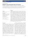 Baldness, Acne, and Testicular Germ Cell Tumors