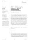 REV7: A Small but Mighty Regulator of Genome Maintenance and Cancer Development