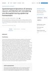 Spatiotemporal Dynamics of Sensory Neuron and Merkel-Cell Remodeling During Epidermal Homeostasis