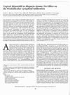 Topical Minoxidil in Alopecia Areata: No Effect on the Perifollicular Lymphoid Infiltration
