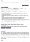 Characterization of the Ovine KRTAP36-1 Gene in Chinese Tan Lambs and Its Impact on Selected Wool Traits