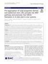 Pre-Aggregation of Scalp Progenitor Dermal and Epidermal Stem Cells Activates the WNT Pathway and Promotes Hair Follicle Formation In Vitro and In Vivo Systems