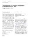 Multi-Potentiality of a New Immortalized Epithelial Stem Cell Line Derived from Human Hair Follicles