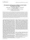 Development and Progression of Alopecia in the Vitamin D Receptor Null Mouse
