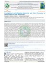 Investigations on Kaempferol, Quercetin, and Other Flavonoids in Aquatic Plants of Iraqi Marshlands