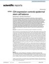 CD4 Expression Controls Epidermal Stem Cell Balance