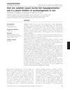 Oral Zinc Sulphate Causes Murine Hair Hypopigmentation And Is A Potent Inhibitor Of Eumelanogenesis In Vivo