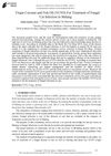 Virgin Coconut And Fish Oil For Treatment Of Fungal Cat Infection In Malang