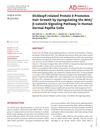 Dickkopf-Related Protein 2 Promotes Hair Growth by Upregulating the Wnt/β-Catenin Signaling Pathway in Human Dermal Papilla Cells