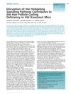 Disruption of the Hedgehog Signaling Pathway Contributes to Hair Follicle Cycling Deficiency in VDR Knockout Mice