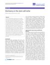 Dormancy in the Stem Cell Niche