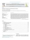Androgen Treatment of Postmenopausal Women