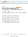 Spontaneous Tumor Regression in Keratoacanthomas Is Driven by Wnt/Retinoic Acid Signaling Cross-Talk