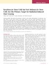 Keratinocyte Stem Cells but Not Melanocyte Stem Cells Are the Primary Target for Radiation-Induced Hair Graying