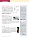 Clinical Snippets: Insights into Dermatological Health and Disease