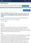 Whole-Transcriptome Analysis Reveals the Profiles and Roles of Coding and Non-Coding RNAs During Hair Follicle Cycling in Rex Rabbits