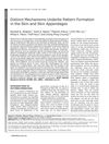 Distinct Mechanisms Underlie Pattern Formation in the Skin and Skin Appendages