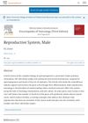 Reproductive System, Male: Biology of Spermatogenesis and Toxicology