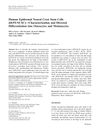 Human Epidermal Neural Crest Stem Cells (hEPI-NCSC): Characterization and Directed Differentiation into Osteocytes and Melanocytes