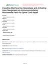 Impeding Glial Scarring Hyperplasia and Activating Axon Neogenesis via Immunomodulatory Microneedle Patch for Spinal Cord Repair