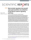 Morroniside Regulates Hair Growth and Cycle Transition via Activation of the Wnt/β-Catenin Signaling Pathway