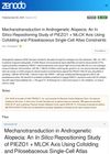 Mechanotransduction in Androgenetic Alopecia: An In Silico Repositioning Study of PIEZO1 and MLCK Axis Using Cofolding and Pilosebaceous Single-Cell Atlas Constraints