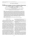 Possible Role of Autophagy Activation in Stimulation of Regeneration