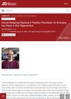Dermal Hedgehog Signaling in Papillary Fibroblasts: An Emerging Key Player in Skin Regeneration