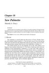 Saw Palmetto
