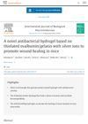 A Novel Antibacterial Hydrogel Based on Thiolated Ovalbumin/Gelatin with Silver Ions to Promote Wound Healing in Mice