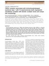 TRPS1 Mutation Associated with Trichorhinophalangeal Syndrome Type 1 with 15 Supernumerary Teeth, Hypoplastic Mandibular Condyles with Slender Condylar Necks and Unique Hair Morphology