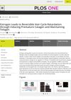 Estrogen Leads to Reversible Hair Cycle Retardation Through Inducing Premature Catagen and Maintaining Telogen