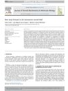 New Steps Forward in the Neuroactive Steroid Field