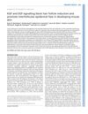 KGF And EGF Signaling Block Hair Follicle Induction And Promote Interfollicular Epidermal Fate In Developing Mouse Skin