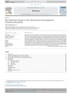 Age-Related Hair Changes in Men: Mechanisms and Management of Alopecia and Graying