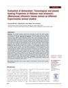 Evaluation of Antioxidant, Toxicological and Wound Healing Properties of Hibiscus Rosa-Sinensis L. (Malvaceae) Ethanolic Leaves Extract on Different Experimental Animal Models