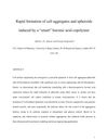 Rapid Formation of Cell Aggregates and Spheroids Induced by a Smart Boronic Acid Copolymer