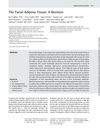 The Facial Adipose Tissue: A Revision
