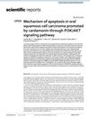 Mechanism of Apoptosis in Oral Squamous Cell Carcinoma Promoted by Cardamonin Through PI3K/AKT Signaling Pathway