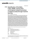 Identification of Ferroptosis-Related Biomarkers in Alopecia Areata Through Machine Learning